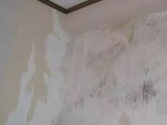圆梦钱包 - 安全支付工具|专业数字钱包平台