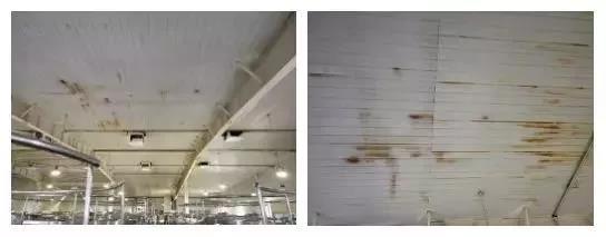 圆梦钱包 - 安全支付工具|专业数字钱包平台