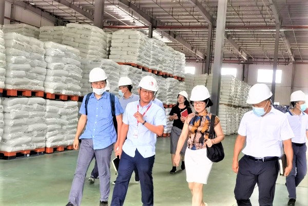 圆梦钱包 - 安全支付工具|专业数字钱包平台