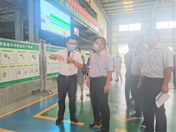 圆梦钱包 - 安全支付工具|专业数字钱包平台