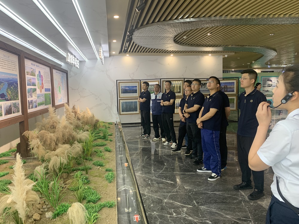圆梦钱包 - 安全支付工具|专业数字钱包平台